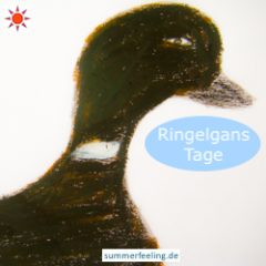 Ringelgans Tage