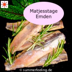 Matjestage Emden