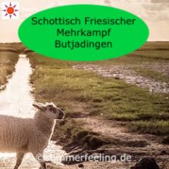 Schottisch Friesischer Mehrlkampf