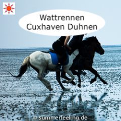 Wattrennen Cuxhaven Duhnen