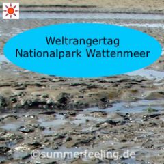 Weltrangertag Nationalpark Wattenmeer