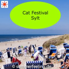 Cat Festival Sylt