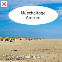 Muscheltage Amrum
