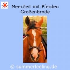 t mit Pferden Großenbrode