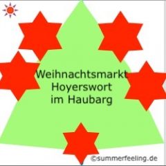 Weihnachtsmarkt Hoyerswort im Haubarg