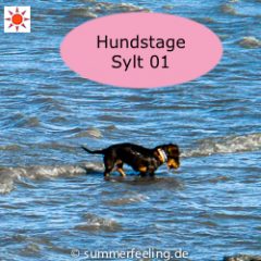 Hundstage Sylt 01