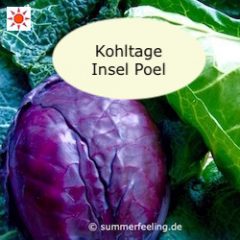 Kohltage Insel Poel