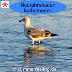 Neujahrsbaden Boltenhagen