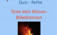 Biikebrennen Quiz
